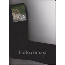 Шкарпетки чоловічі Теркурій 1600